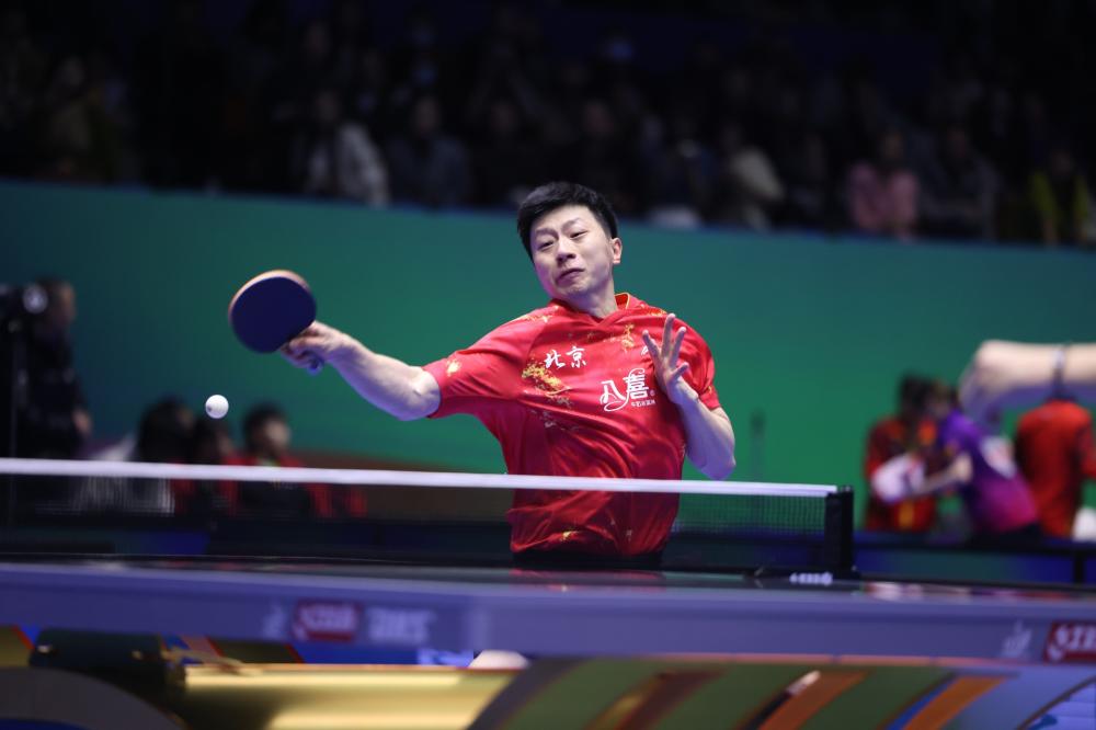 不仅焕发了 不仅焕发了