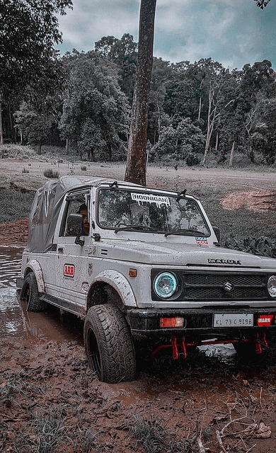 段艰难抉择 段艰难抉择