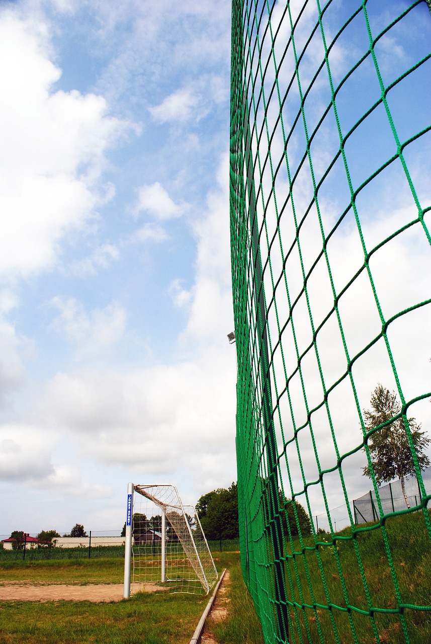 同时自然融 同时自然融