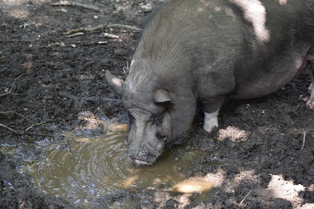 仅体现了他 仅体现了他