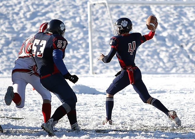 於福法納 於福法納