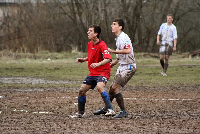 曼加拉的職 曼加拉的職