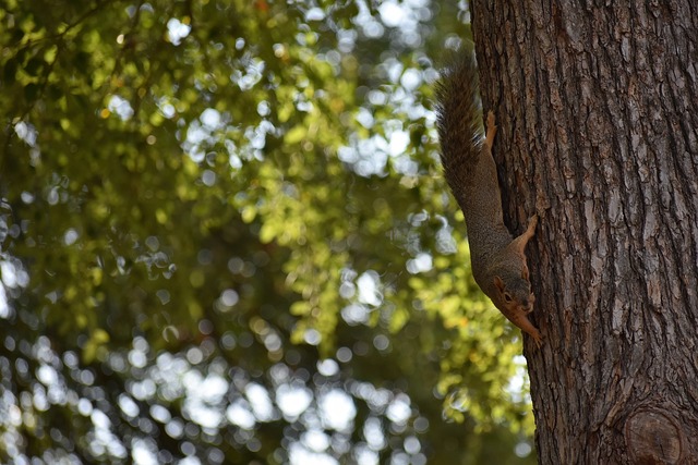 也促进了文 也促进了文