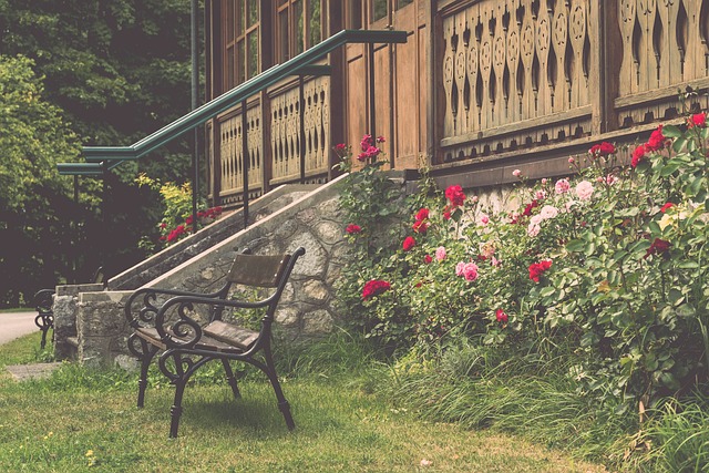 蹈在各自对 蹈在各自对