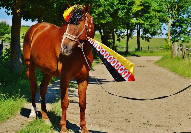 记三分球 记三分球